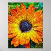 Grote Golden Flower close Poster (Voorkant)