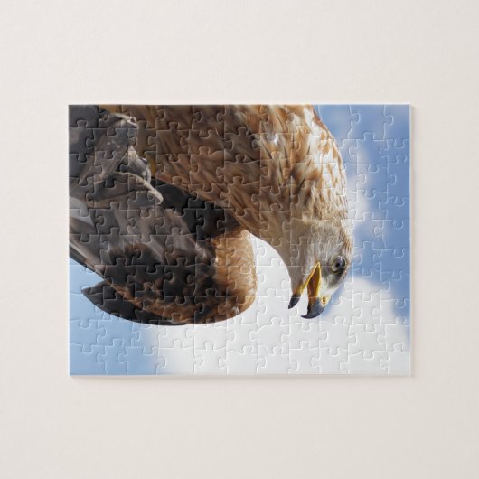 Grote gouden adelaar legpuzzel (Horizontaal)