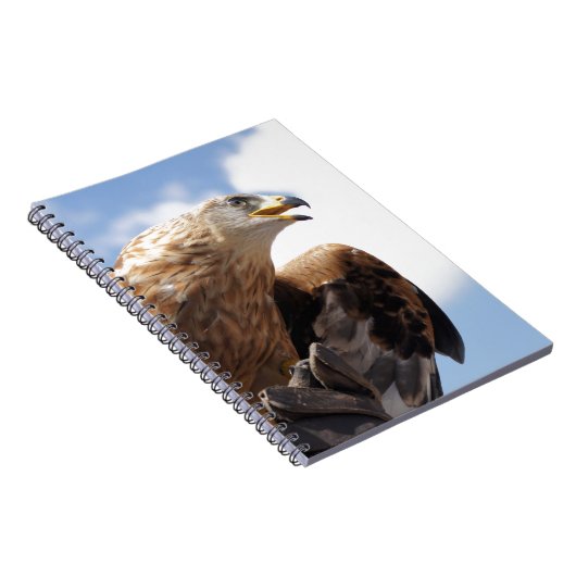 Grote gouden adelaar notitieboek (Rechterzijde)