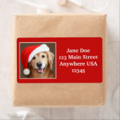 Grote Gouden Retriever met Santa Hat Etiket (Insitu)