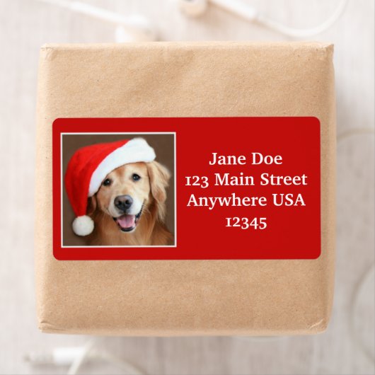 Grote Gouden Retriever met Santa Hat Etiket (Insitu)