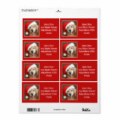 Grote Gouden Retriever met Santa Hat Etiket (Full Sheet)