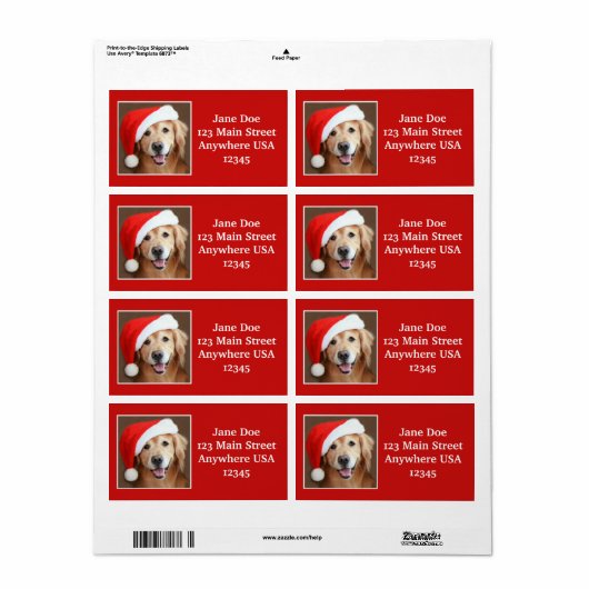 Grote Gouden Retriever met Santa Hat Etiket (Full Sheet)