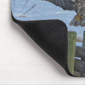 Grote Grijze boomgaard en sneeuwwildRaptor aan lan Muismat (Hoek)