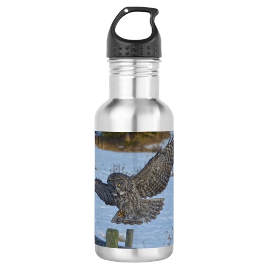Grote Grijze boomgaard en sneeuwwildRaptor aan lan Waterfles (Voorkant)