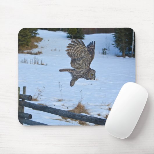 Grote grijze boomgaard en sneeuwwildRaptor Muismat (Met muis)