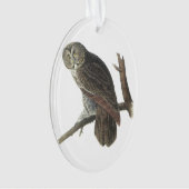 Grote grijze boomkor, Audubon Ornament (voorkant)