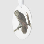 Grote grijze boomkor, Audubon Ornament (voorkant)