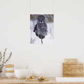 Grote grijze boomkorren bij Pine City MN, Poster (Keuken)