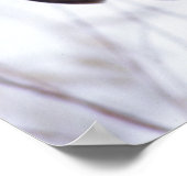 Grote grijze boomkorren bij Pine City MN, Poster (Hoek)