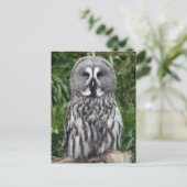 Grote grijze boomkorren briefkaart (Staand voorkant)