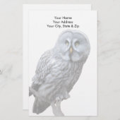 Grote grijze boomkorren briefpapier (Voorkant / Achterkant)