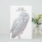 Grote grijze boomkorren briefpapier (Staand voorkant)