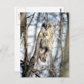 Grote grijze boomkorren - Creamy Brown Watcher Briefkaart (Voorkant / Achterkant)