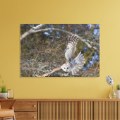 Grote Grijze boomkorvisserij Canvas Afdruk (Insitu (Woonkamer))