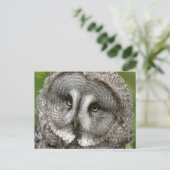 Grote grijze Briefkaart (Staand voorkant)