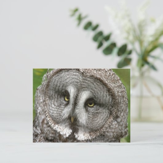 Grote grijze Briefkaart (Staand voorkant)