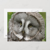 Grote grijze Briefkaart (Voorkant / Achterkant)