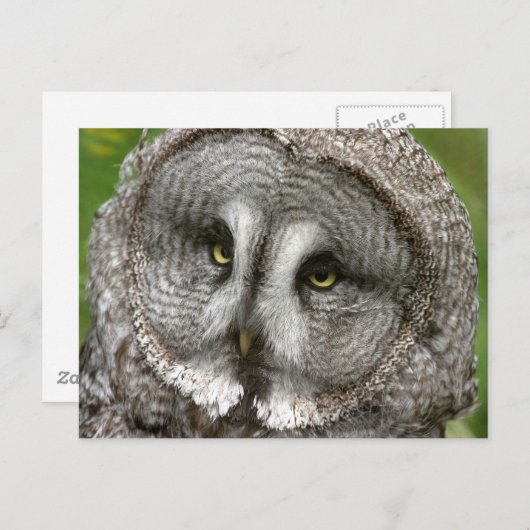 Grote grijze Briefkaart (Voorkant / Achterkant)