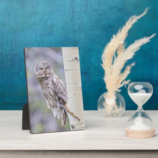 Grote grijze espentak fotoplaat (Zijkant)