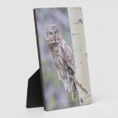 Grote grijze espentak fotoplaat (Zijkant)