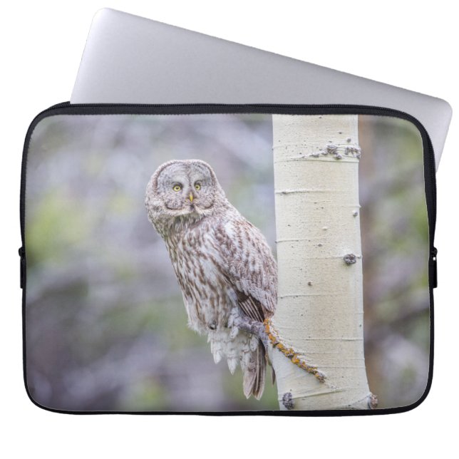 Grote grijze espentak laptop sleeve (Voorkant)