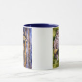 Grote grijze Mok (Midden)