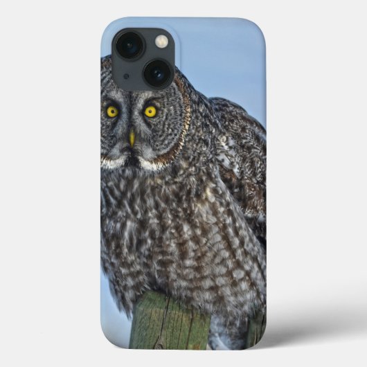 Grote grijze oplichter op een foto-portret van de Case-Mate iPhone case (Achterkant)