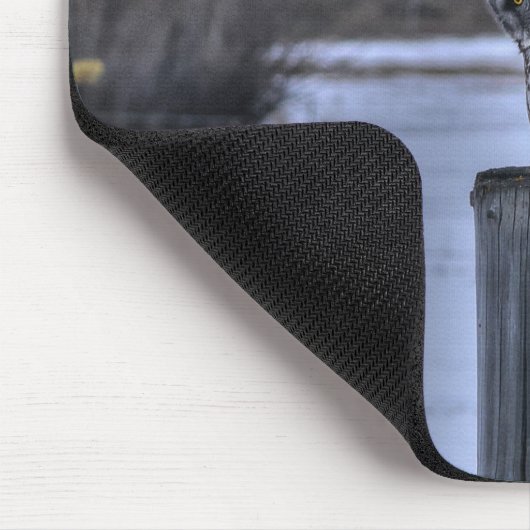 Grote grijze oplichter op Fence Post Winter Wildli Muismat (Hoek)