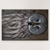 Grote Grijze Owl alleen Legpuzzel (Horizontaal)