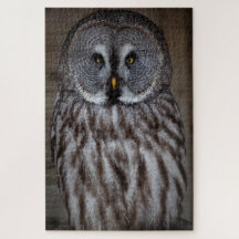 Grote Grijze Owl alleen