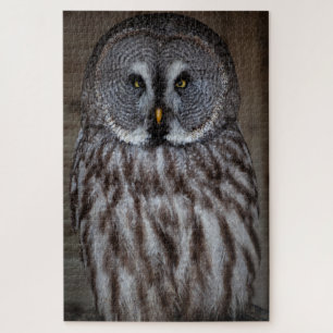 Grote Grijze Owl alleen Legpuzzel