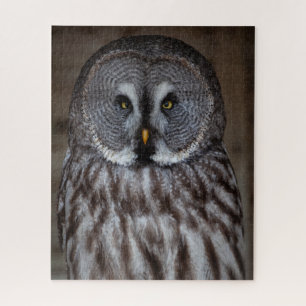 Grote Grijze Owl alleen Legpuzzel