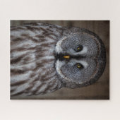 Grote Grijze Owl alleen Legpuzzel (Horizontaal)