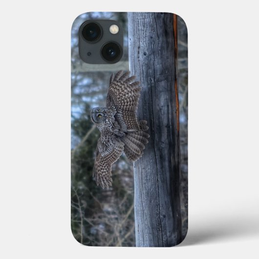 Grote Grijze Owl en Ranch Gate Pole aan land Case-Mate iPhone Case (Achterkant)