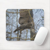 Grote grijze Owl Lancering in Forest Wildlife Foto Muismat (Met muis)