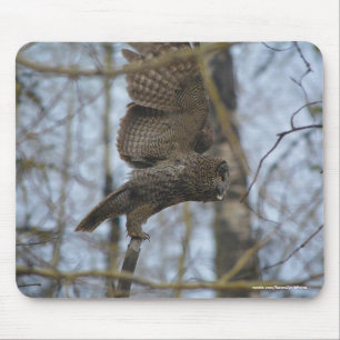Grote grijze Owl Lancering in Forest Wildlife Foto Muismat