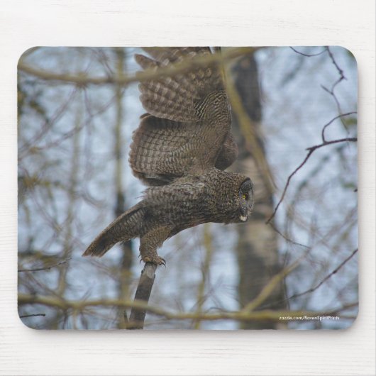Grote grijze Owl Lancering in Forest Wildlife Foto Muismat (Voorkant)