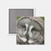 Grote Grijze Owl Magnet (Voorkant / Achterkant)