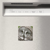 Grote Grijze Owl Magnet (Insitu (Vaatwasser))