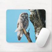 Grote Grijze Owl Mousepad Muismat (Met muis)