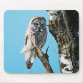 Grote Grijze Owl Mousepad Muismat (Voorkant)