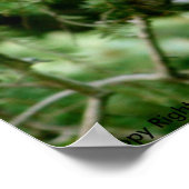 Grote grijze Poster (Hoek)