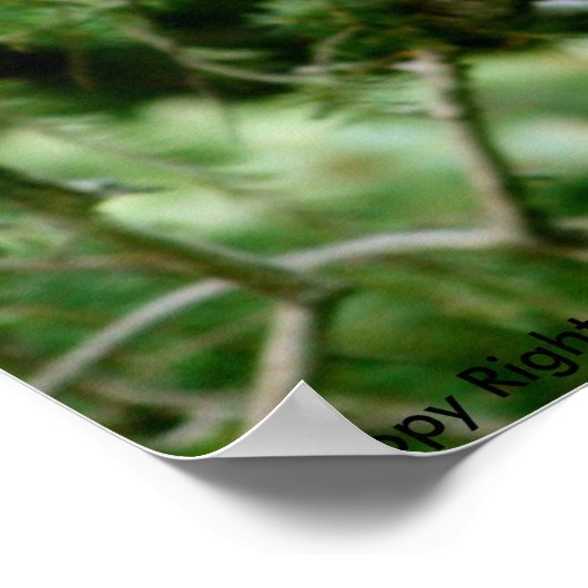 Grote grijze Poster (Hoek)