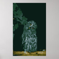 Grote grijze Poster