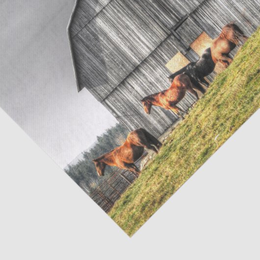 Grote Grijze Schuur en Majestic Paarden Tissuepapier (Detail)