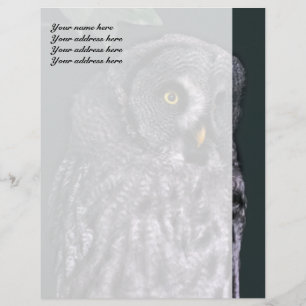 Grote Grijze Uil Briefhoofd Sjabloon