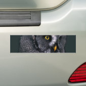 Grote grijze uil bumpersticker (Op auto)