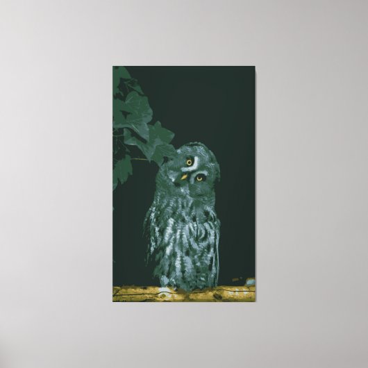 Grote Grijze Uil  Canvasprint op Spanning Canvas Afdruk (Voorkant)