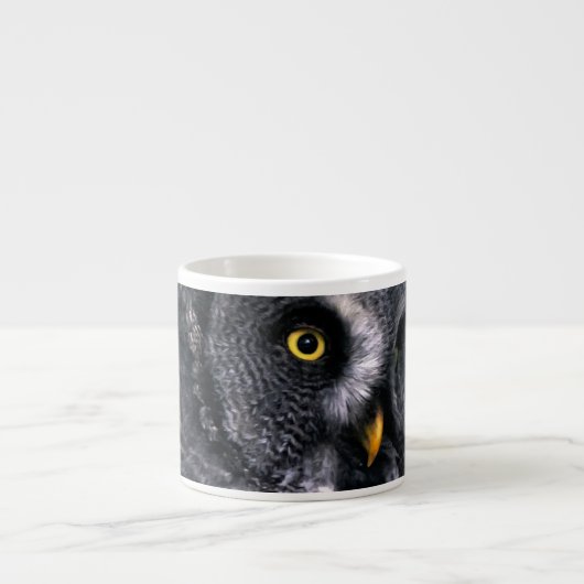 Grote grijze uil espresso kop (Voorkant)